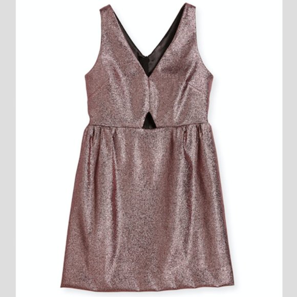 NWT Fuchsia Metallic Dress